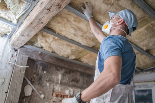 Best Types of Insulation in Great Neck Plaza, NY